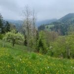 Wanderung